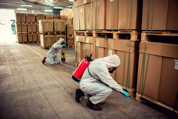 Best Rat Extermination Near Me  in Bayou Country Clu, LA