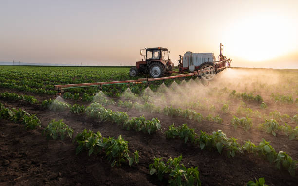 Best Ant Control Services  in Bayou Country Clu, LA