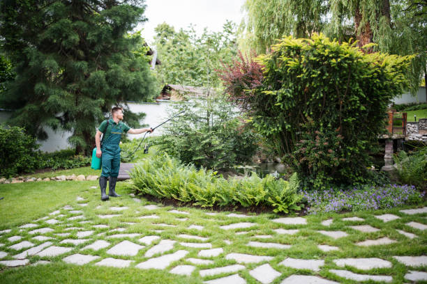 Professional Pest Control in Bayou Country Clu, LA