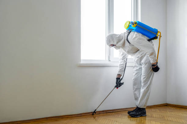 Pest Prevention Services in Bayou Country Clu, LA