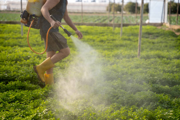 Best Best Pest Control Companies  in Bayou Country Clu, LA
