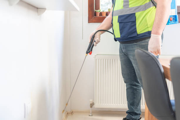 Best Pest Control Near Me  in Bayou Country Clu, LA