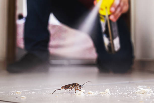 Professional Pest Control in Bayou Country Clu, LA