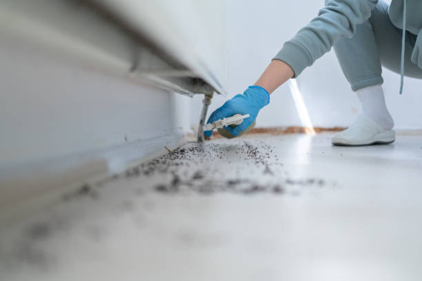 Best Affordable Pest Control Services  in Bayou Country Clu, LA