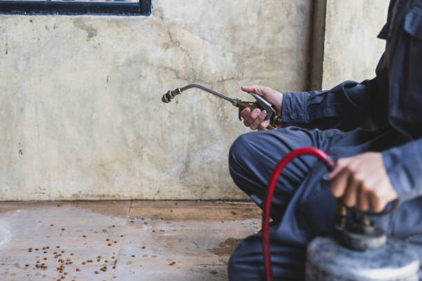 Best Local Pest Control Services  in Bayou Country Clu, LA
